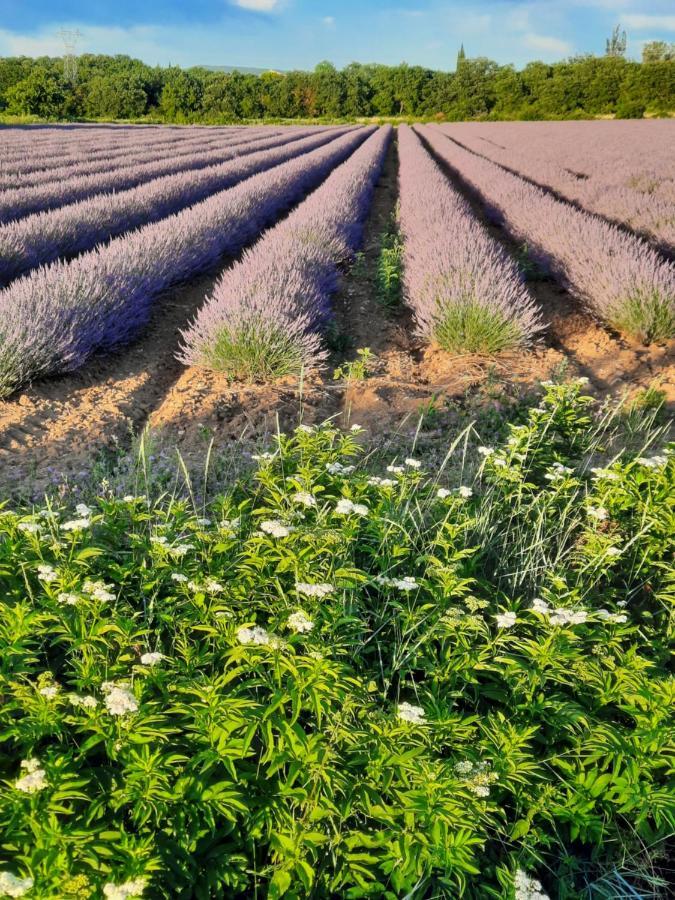 Viviers Rhone Studio מראה חיצוני תמונה